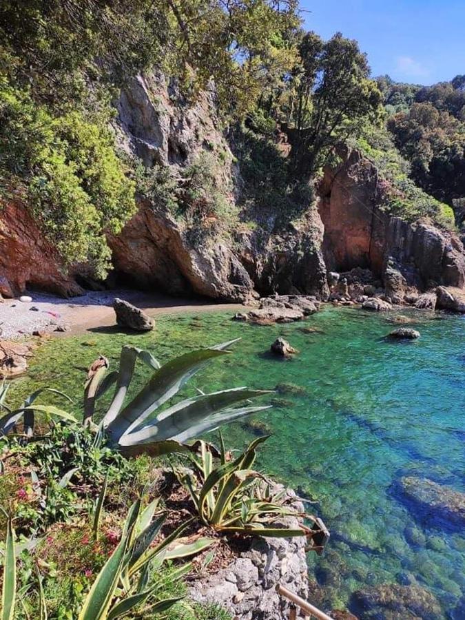 Casa Vacanze Beach House Vicino Alla Stazione 斯培西亚 外观 照片